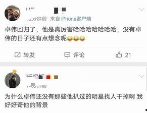 娱乐吃瓜吕小布微博,揭秘娱乐圈幕后故事